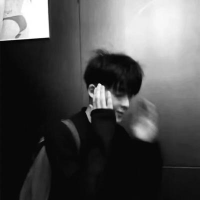 兽设物种设计灵感福瑞交流群